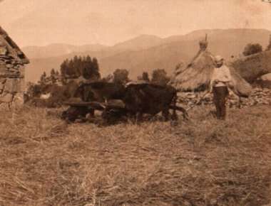 Το αλώνισμα και το άλεσμα στον Πόντο (φωτό)